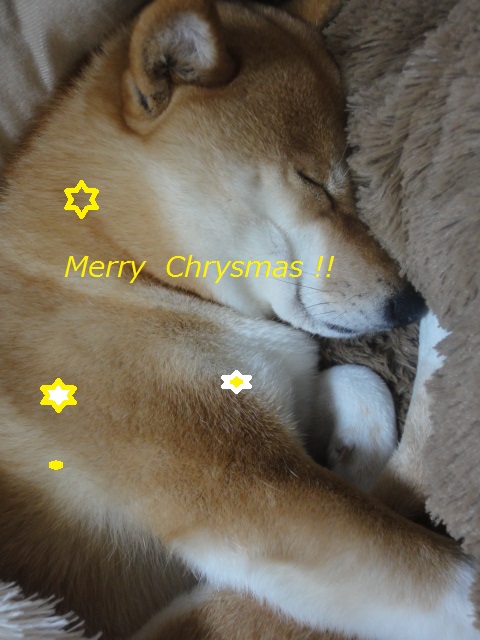 ☆クリスマスパーティー☆_e0201009_2233578.jpg