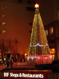 c0166720_10445195.jpg