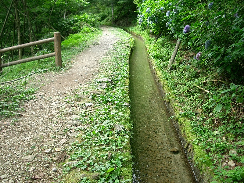 付知峡（岐阜県中津川市）_c0219820_1235567.jpg