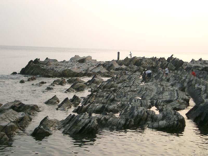 荒崎海岸（神奈川県横須賀市）_c0219820_1345158.jpg