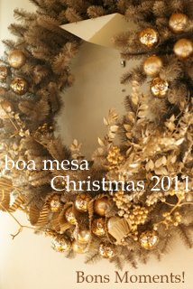 boa mesa クリスマスレッスン_c0147521_1883589.jpg