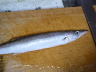 b0156324_21451895.jpg
