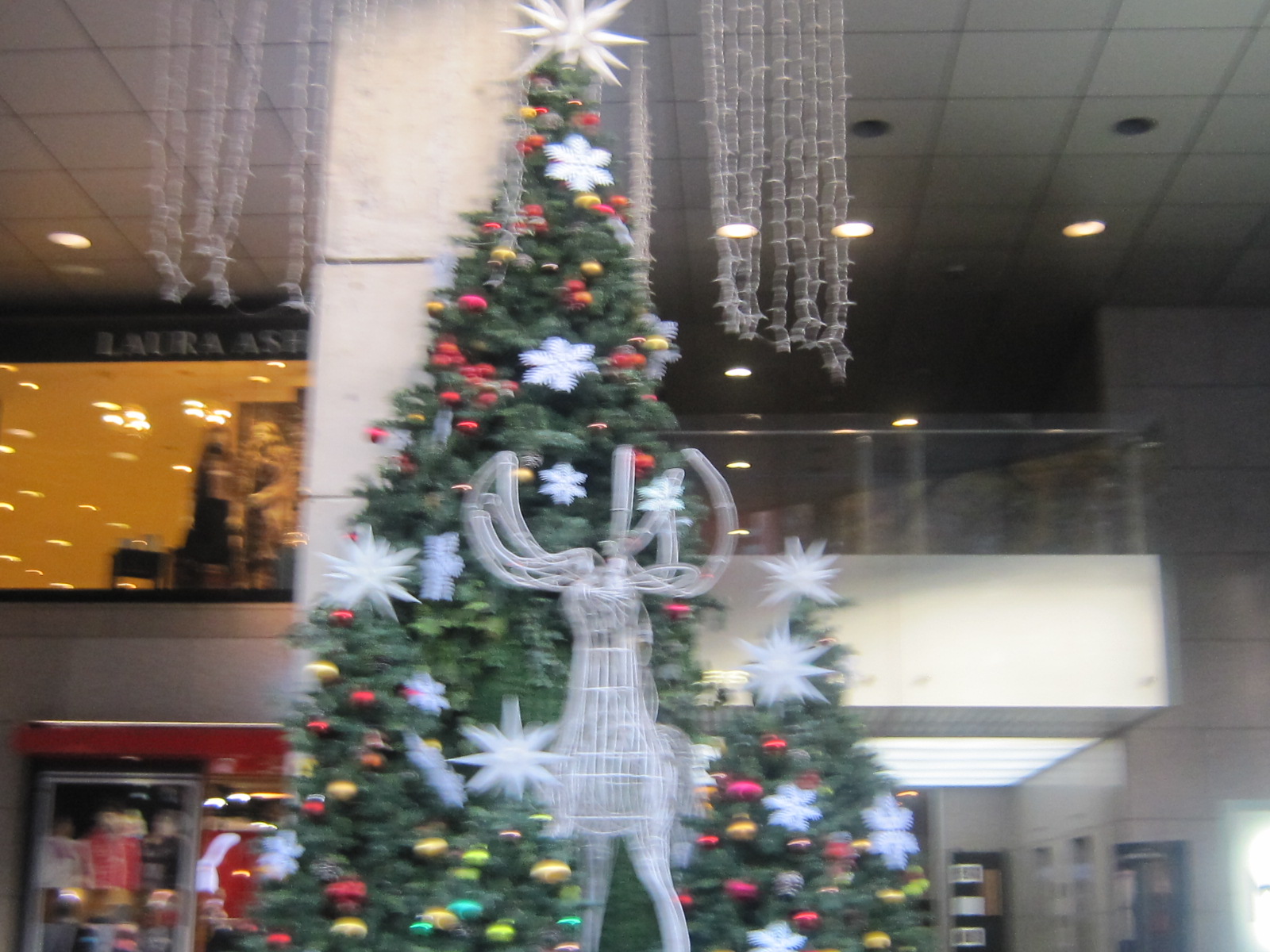 ♪２０１１★クリスマス（表参道～青山～新宿）_d0162225_22173722.jpg