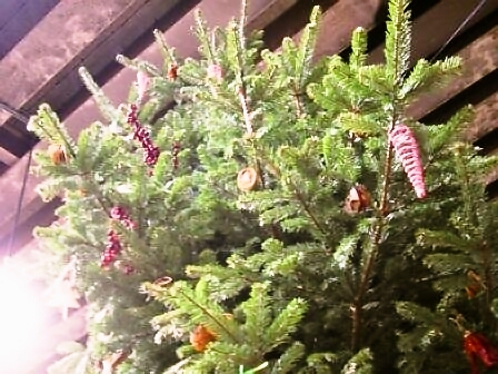 メリークリスマス!そして楽しいマーケット!_d0104926_17433250.jpg