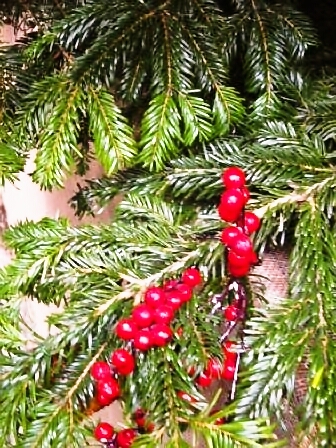 メリークリスマス!そして楽しいマーケット!_d0104926_174858.jpg