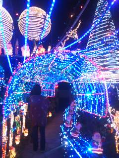 b0203727_9584935.jpg
