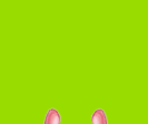b0150335_20172062.gif