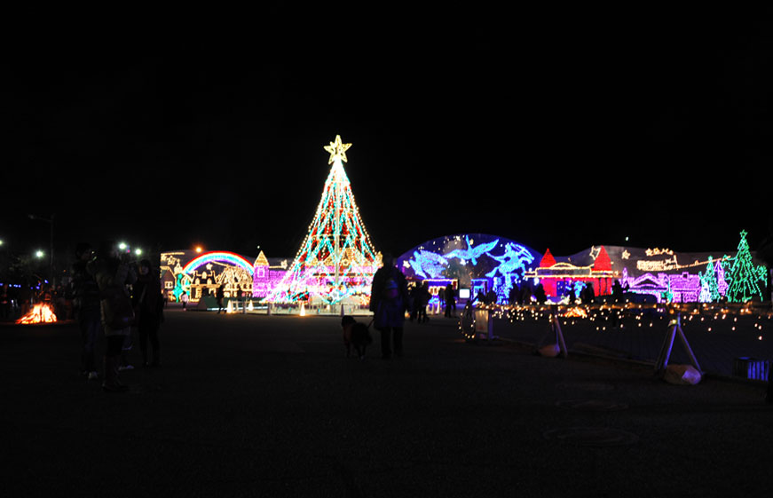 国営備北丘陵公園 ”ウィンターイルミネーション2011”_b0075541_6403961.jpg