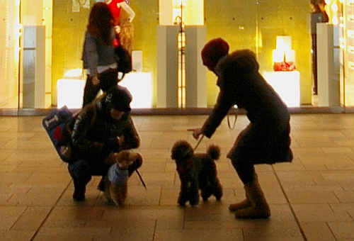 d0026745_8491569.jpg