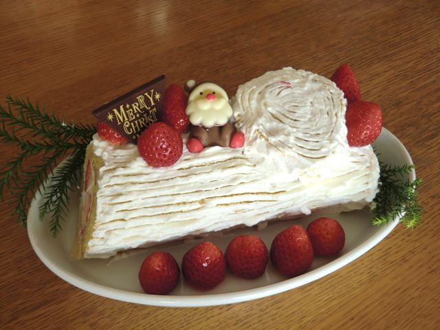 クリスマスケーキ　2011_e0105846_1693465.jpg