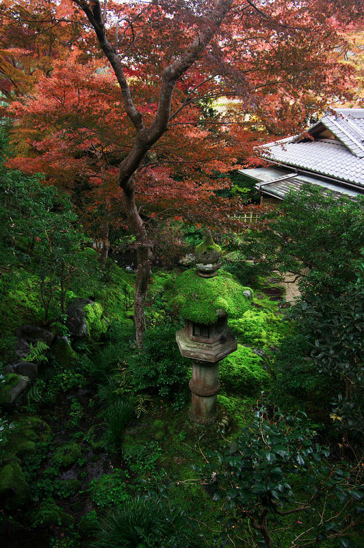 瑠璃光院・絶景_f0155048_15215970.jpg