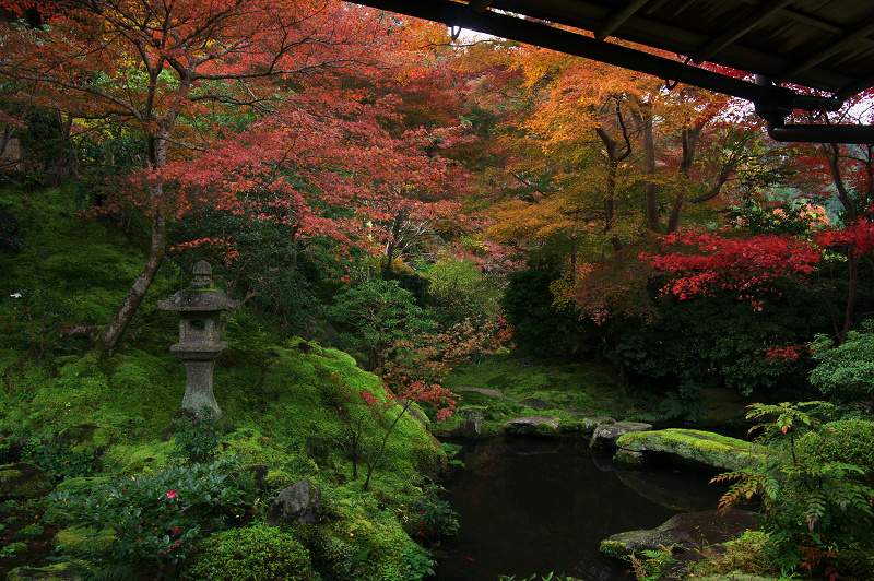 瑠璃光院・絶景_f0155048_1522975.jpg