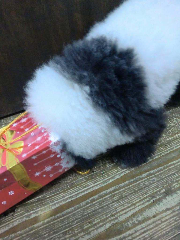 b0199050_20513569.jpg