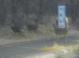 e0172950_17534110.jpg