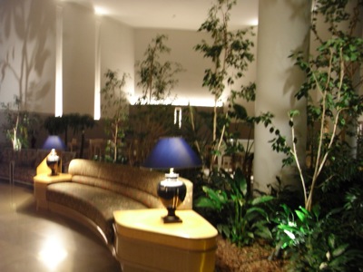 d0079151_25116.jpg
