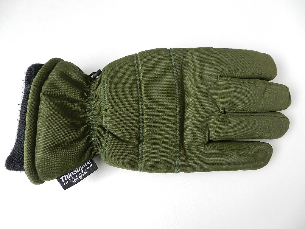 Gore-tex & Thinsulate Gloves_f0226051_11553593.jpg