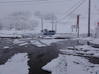 降りますね_a0084753_7473734.jpg