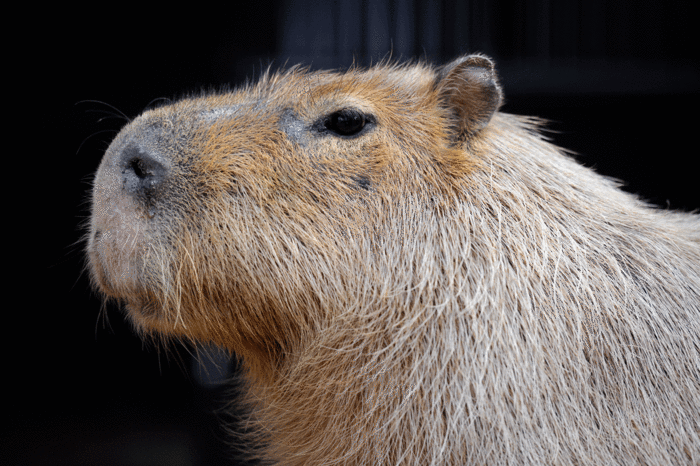 b0023856_6364454.gif