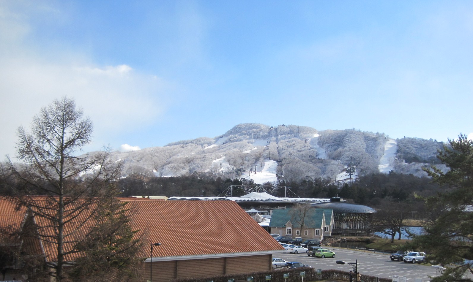 f0236260_23513652.jpg