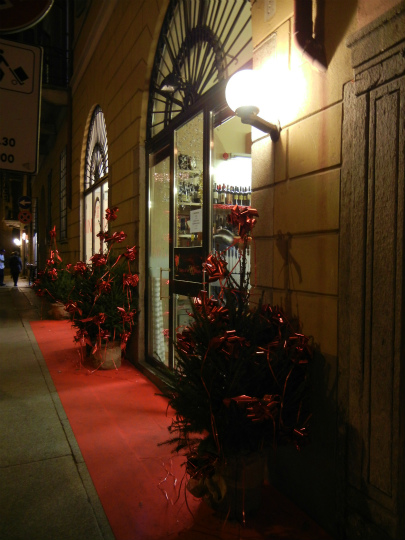 メリークリスマス_d0047461_2112.jpg