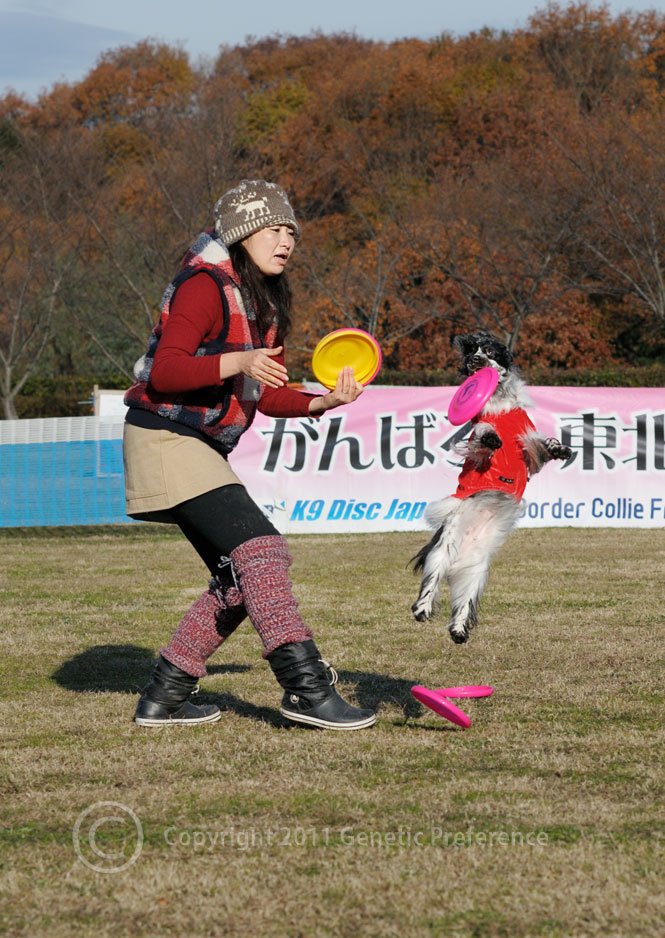 K9 Disc Japan 26th 神戸ワイナリー Vol.5_a0111162_1321840.jpg