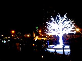 5時か_b0212864_11131721.jpg