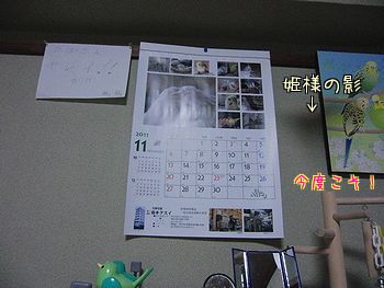 f0196665_23565562.jpg