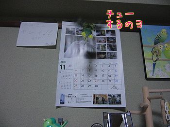 f0196665_23573159.jpg