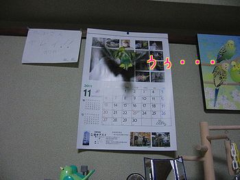 f0196665_23574621.jpg