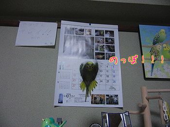 f0196665_23582556.jpg