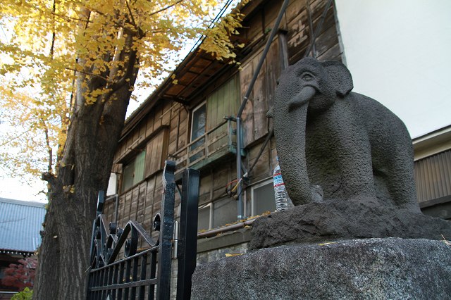 日本のお寺にも象が_c0134569_20164331.jpg