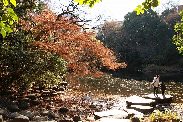 日本のお寺にも象が_c0134569_20263252.jpg