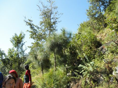 e0155370_2110303.jpg