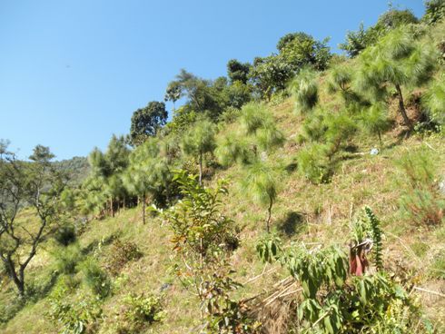 e0155370_21105190.jpg