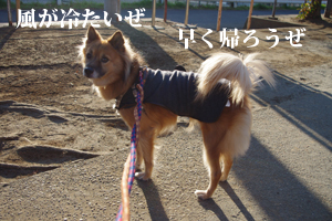 f0238772_2128596.jpg