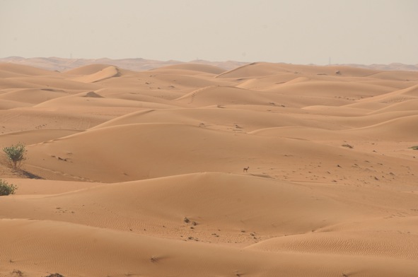 e0066474_0125975.jpg