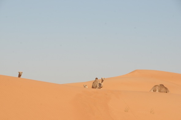 e0066474_03349.jpg