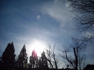 f0183480_14221543.jpg