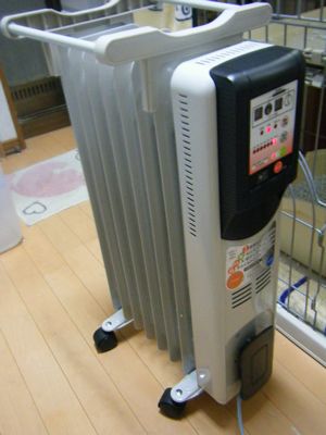 f0148582_317647.jpg