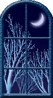 b0136683_8395993.gif