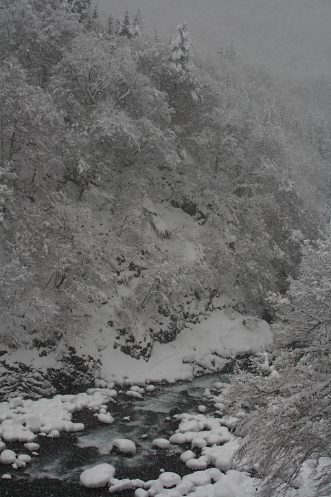 e0165983_11235177.jpg
