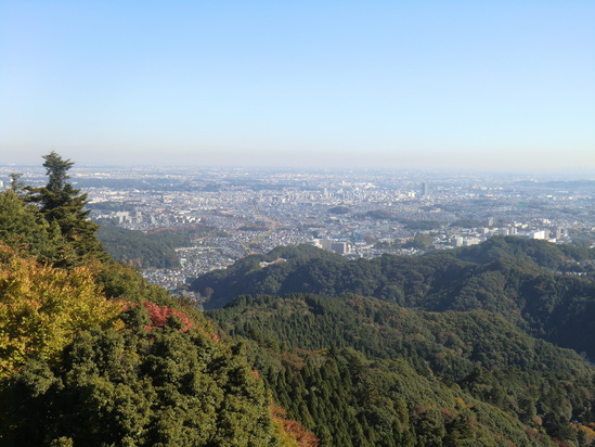 2010年11月10日（水）　東京　高尾山　聖蹟桜ヶ丘_b0214184_18353273.jpg