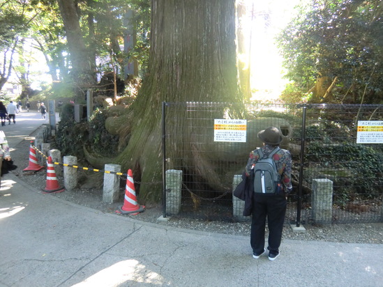 2010年11月10日（水）　東京　高尾山　聖蹟桜ヶ丘_b0214184_18492351.jpg