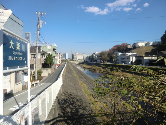 2010年11月10日（水）　東京　高尾山　聖蹟桜ヶ丘_b0214184_19484945.jpg