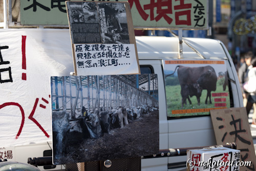 「福島を風化させず、日本の未来を考えよう」希望の牧場・吉沢牧場長、渋谷ハチ公前街頭活動12･11_a0234688_12562296.jpg