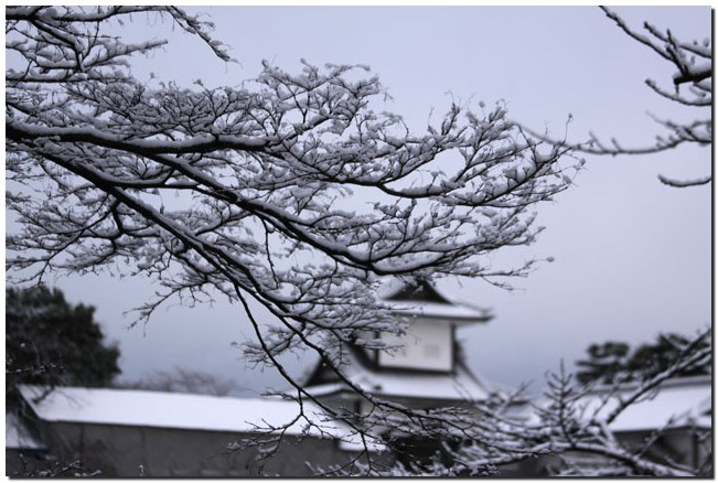 桜橋～石川門_f0079990_911597.jpg