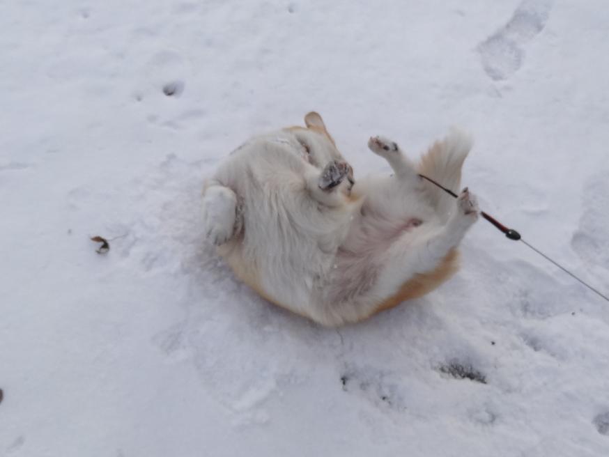 雪の「みちのく杜の湖畔公園」_f0075595_0533041.jpg