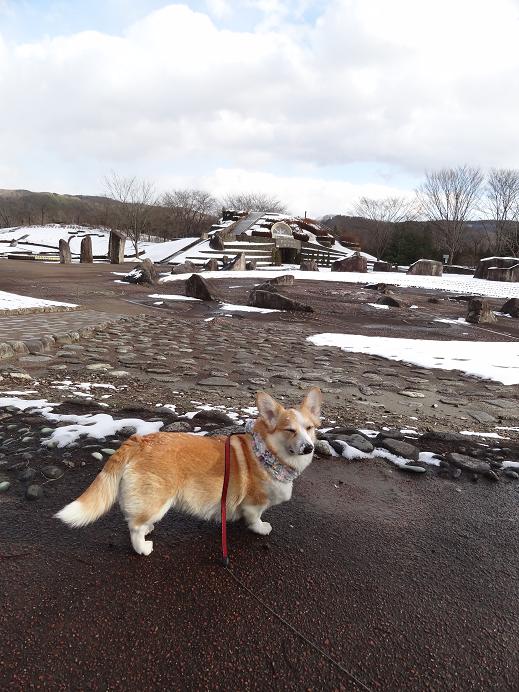 雪の「みちのく杜の湖畔公園」_f0075595_0542615.jpg