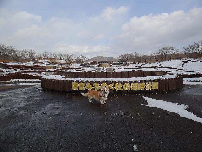 雪の「みちのく杜の湖畔公園」_f0075595_054451.jpg