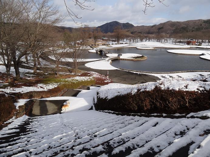 雪の「みちのく杜の湖畔公園」_f0075595_0553447.jpg